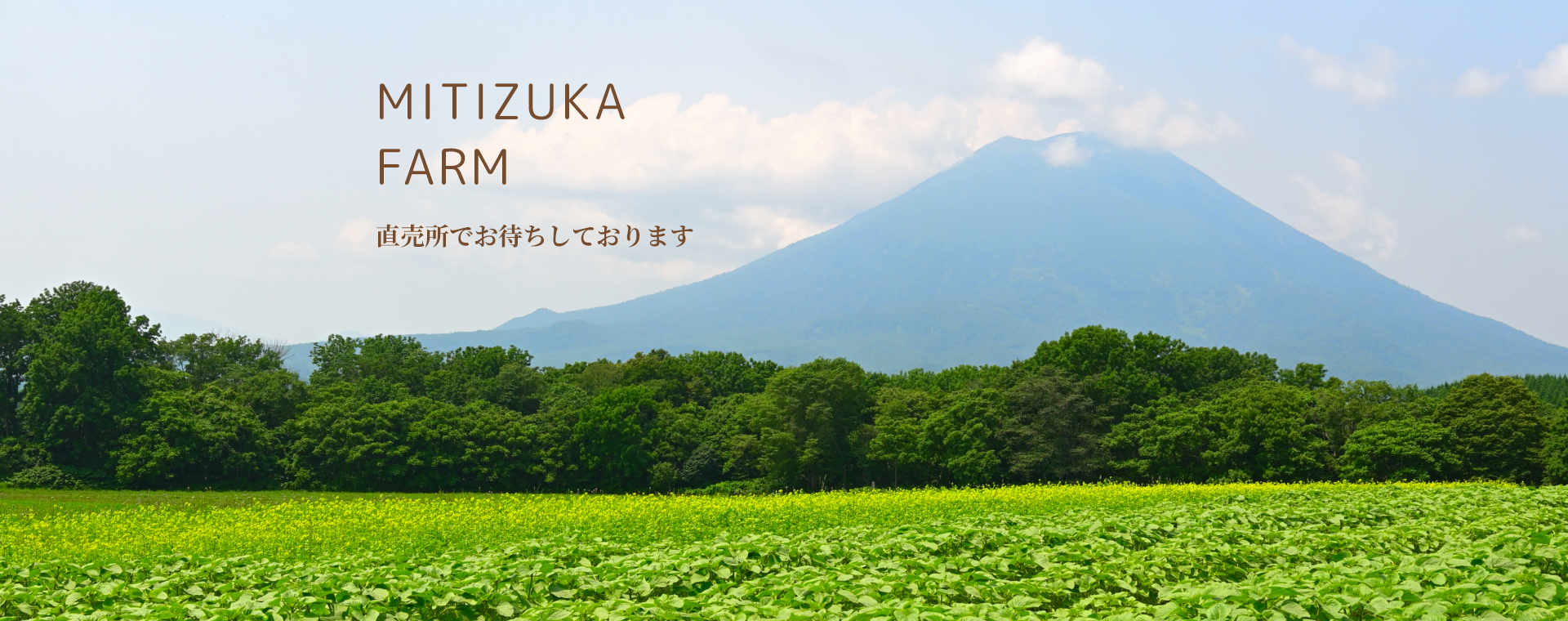 MITIZUKA FARM 直売所でお待ちしております。