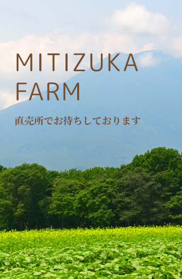 MITIZUKA FAARM 直売所でお待ちしております