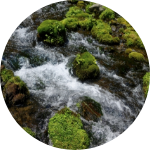 羊蹄山の水が流れている